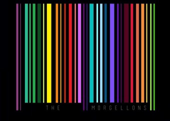 the morgellons