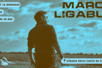 ligabue falso